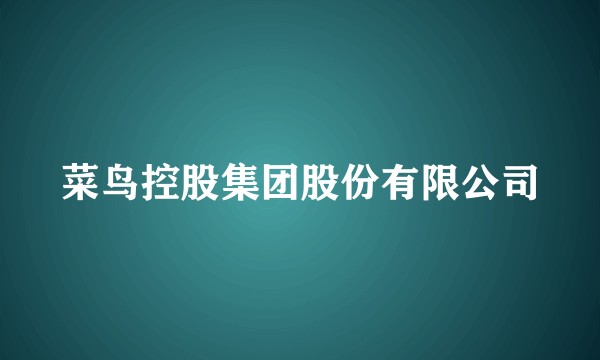 菜鸟控股集团股份有限公司