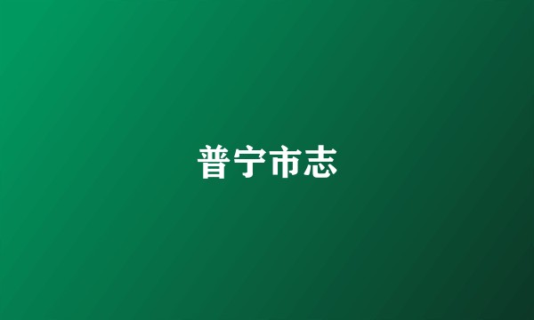 普宁市志