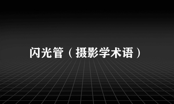 闪光管(摄影学术语)