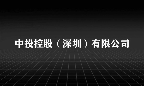 中投控股（深圳）有限公司