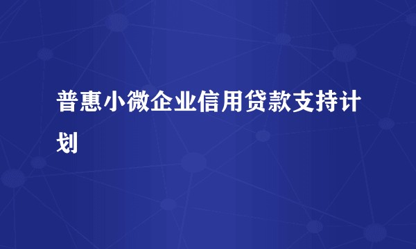 普惠小微企业信用贷款支持计划