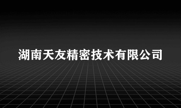 湖南天友精密技术有限公司