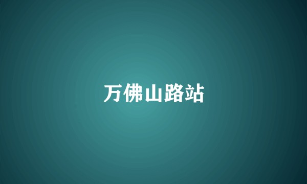 万佛山路站