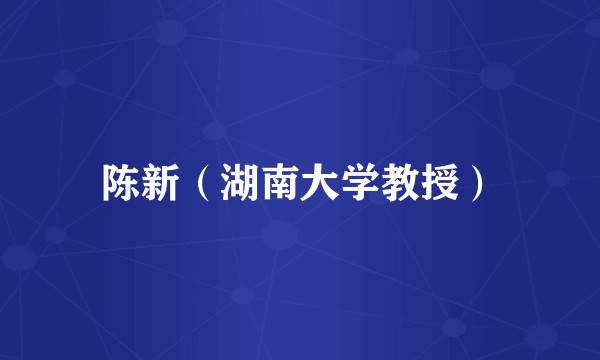 陈新（湖南大学教授）