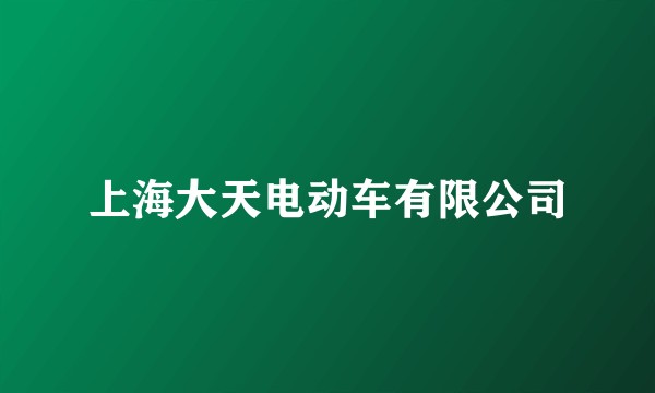 上海大天电动车有限公司