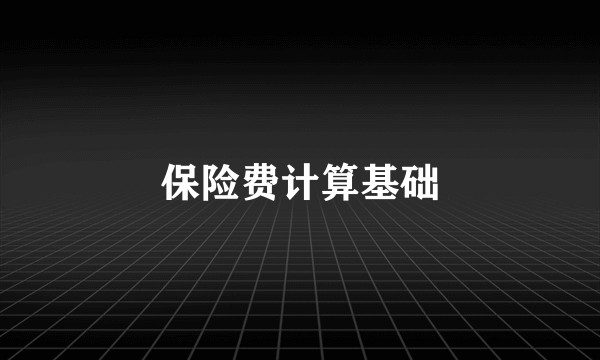 保险费计算基础