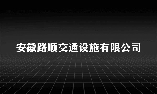 安徽路顺交通设施有限公司