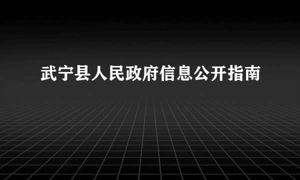 武宁县人民政府信息公开指南