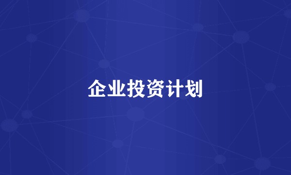 企业投资计划