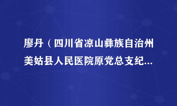 廖丹（四川省凉山彝族自治州美姑县人民医院原党总支纪检委员、住院部党支部书记、外二科主任）