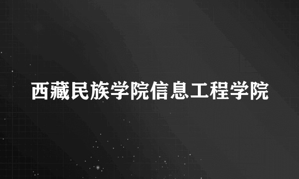 西藏民族学院信息工程学院