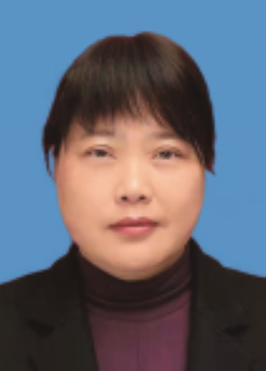 孙红丽(河南省邓州市行政审批服务中心党支部委员会书记、主任)