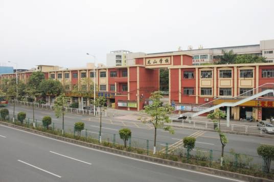 龙山学校(深圳市坪山区境内民办学校)