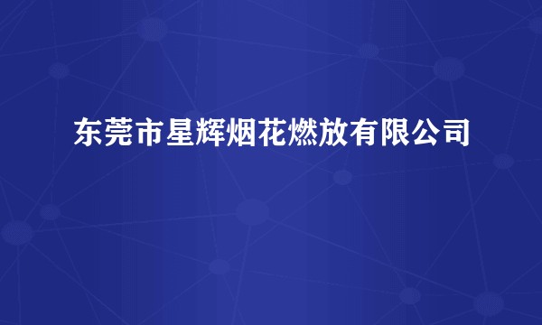 东莞市星辉烟花燃放有限公司