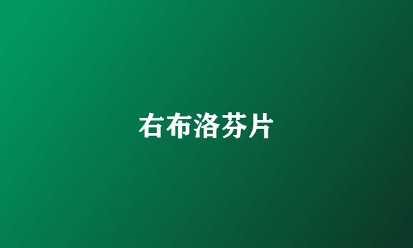 右布洛芬片