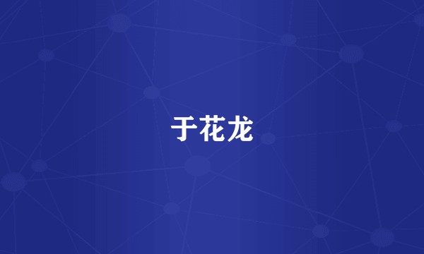 于花龙