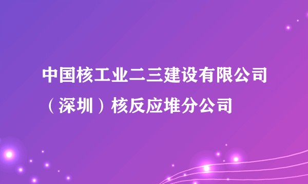 中国核工业二三建设有限公司（深圳）核反应堆分公司