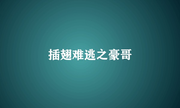 插翅难逃之豪哥