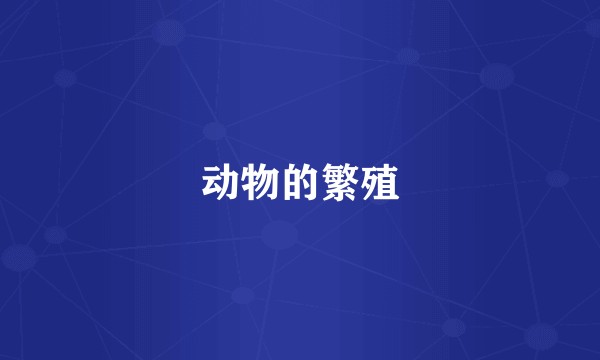 动物的繁殖