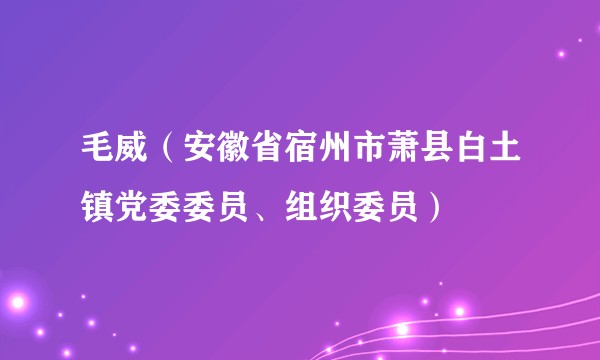 毛威(安徽省宿州市萧县白土镇党委委员、组织委员)