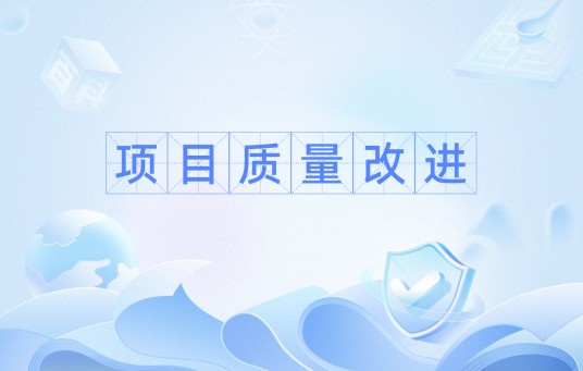 项目质量改进