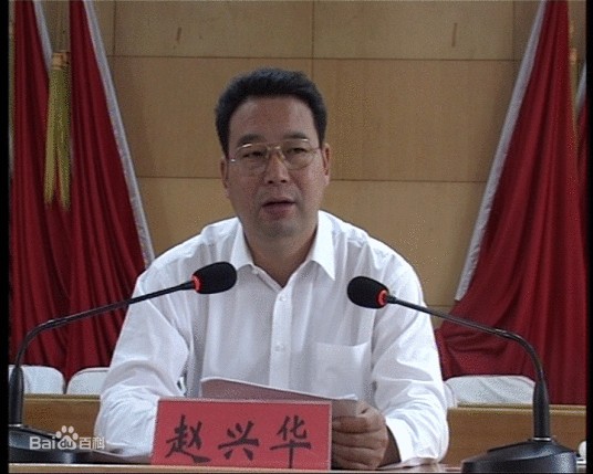 赵兴华（河南省正阳县原县委书记）