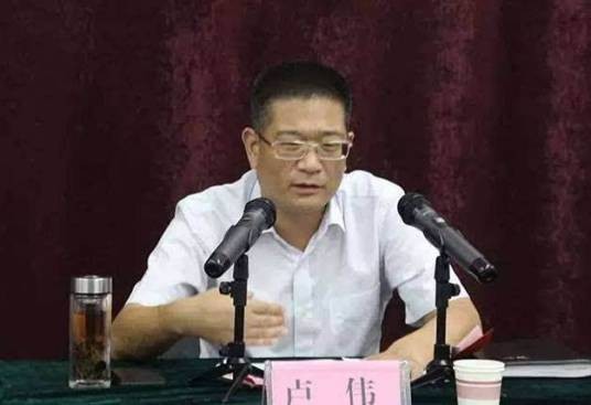 卢伟(河南省周口市扶沟县委原书记)