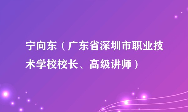 宁向东（广东省深圳市职业技术学校校长、高级讲师）