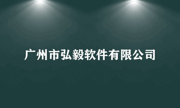 广州市弘毅软件有限公司