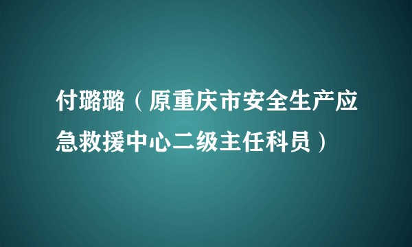 付璐璐(原重庆市安全生产应急救援中心二级主任科员)