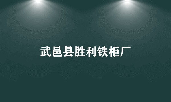 武邑县胜利铁柜厂