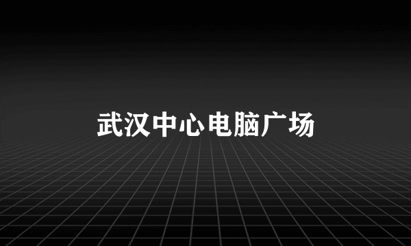 武汉中心电脑广场
