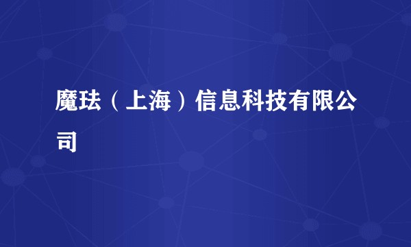 魔珐（上海）信息科技有限公司