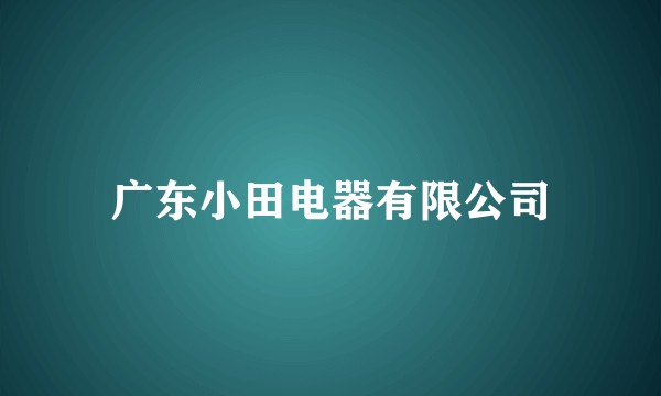 广东小田电器有限公司