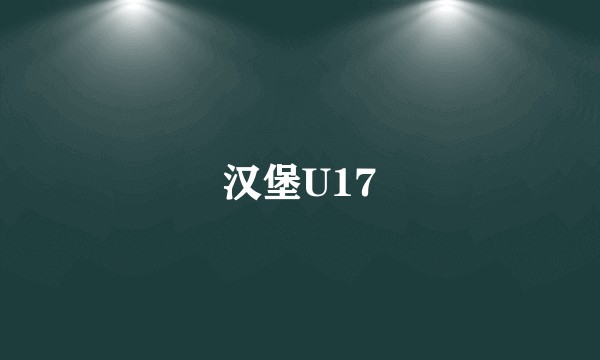 汉堡U17