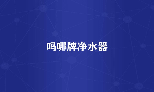 吗哪牌净水器