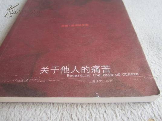 关于他人的痛苦