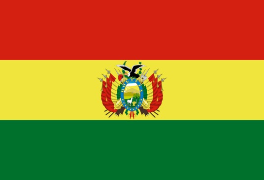 多民族玻利维亚国国旗