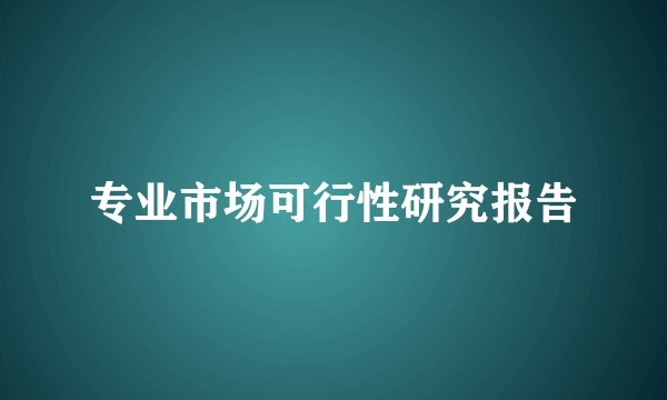 专业市场可行性研究报告