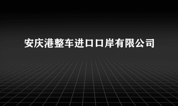 安庆港整车进口口岸有限公司