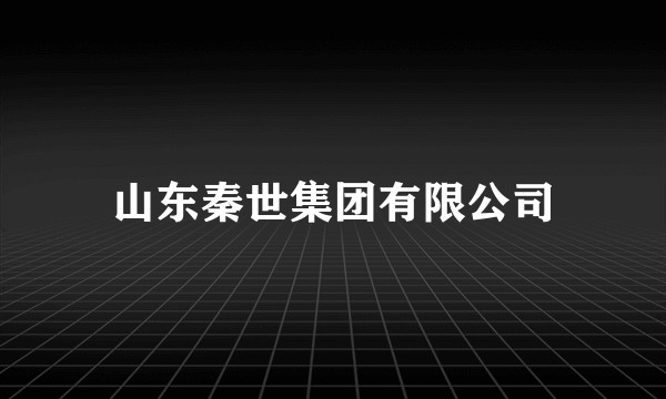 山东秦世集团有限公司