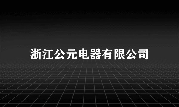 浙江公元电器有限公司