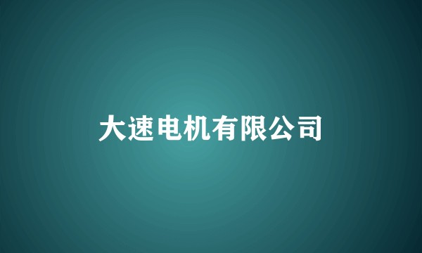 大速电机有限公司