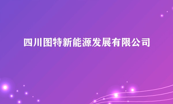 四川图特新能源发展有限公司