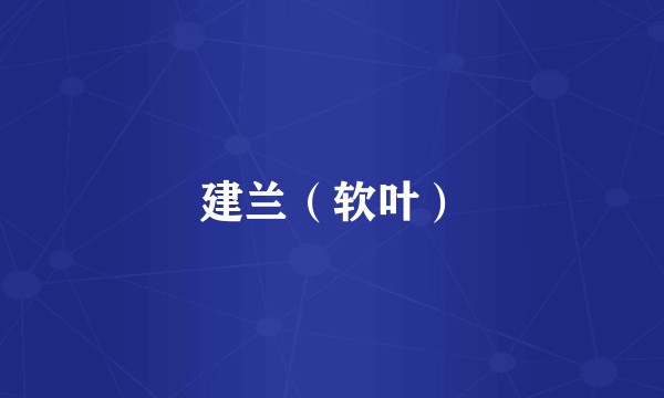 建兰（软叶）