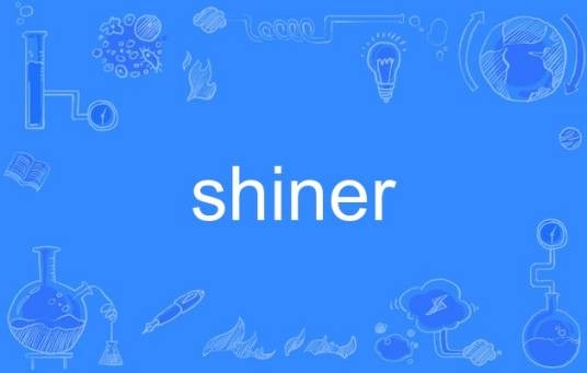 shiner（英语单词）