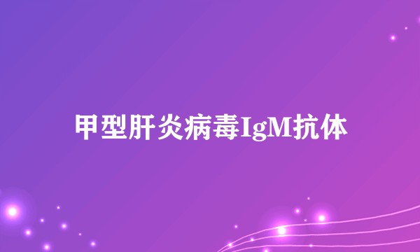 甲型肝炎病毒IgM抗体