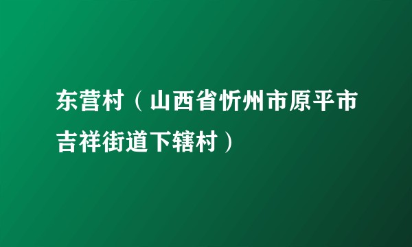 东营村（山西省忻州市原平市吉祥街道下辖村）