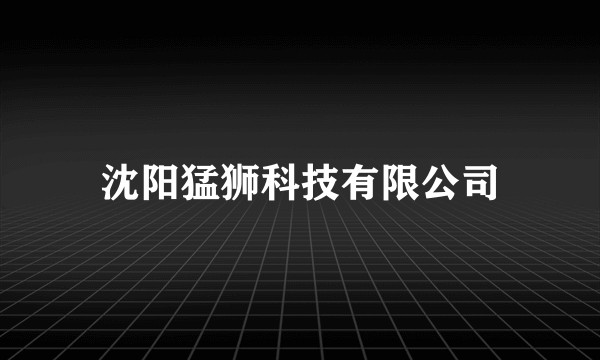 沈阳猛狮科技有限公司