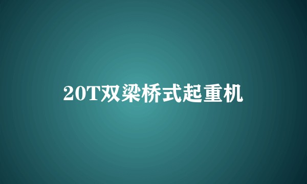20T双梁桥式起重机